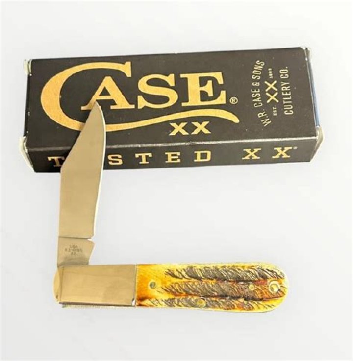 اي جزء من العين يتجمع عليه الضوء ؟