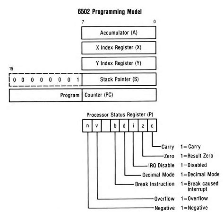معنى اسم الينور وصفات حاملِه