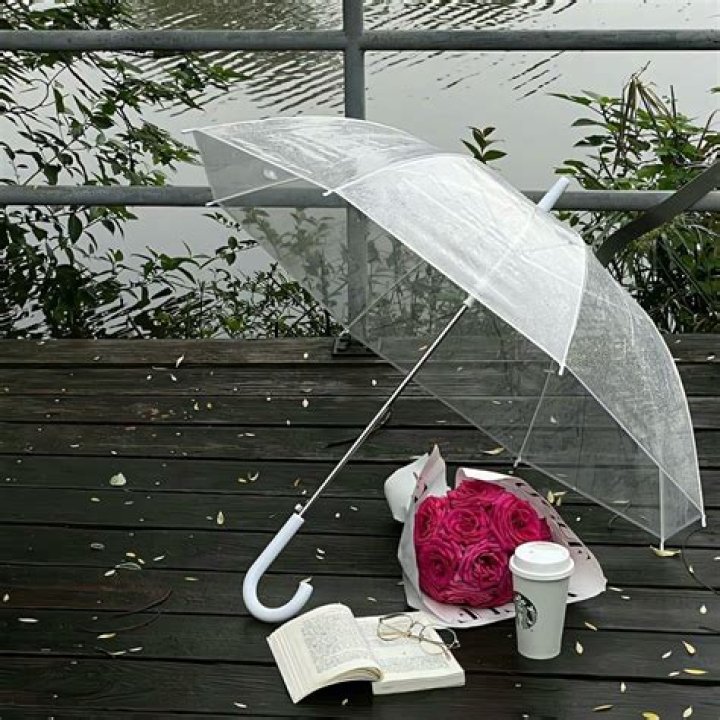 Essential 7-Eleven Umbrellas To Stay Dry In Style
