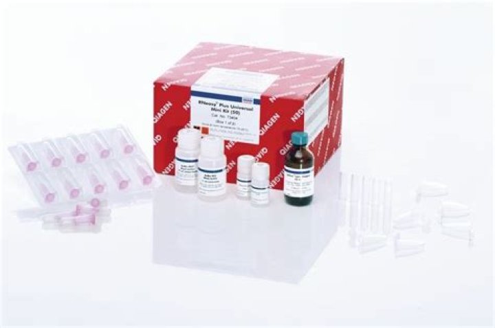 اي الظواهر التالية تحدث بسبب الدورة اليومية للارض حول محورها