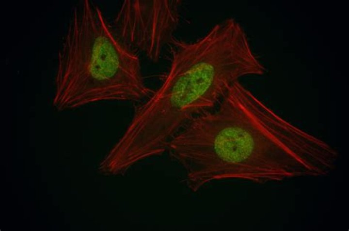 كلمات اغنية حلو الكلام عايض 2020