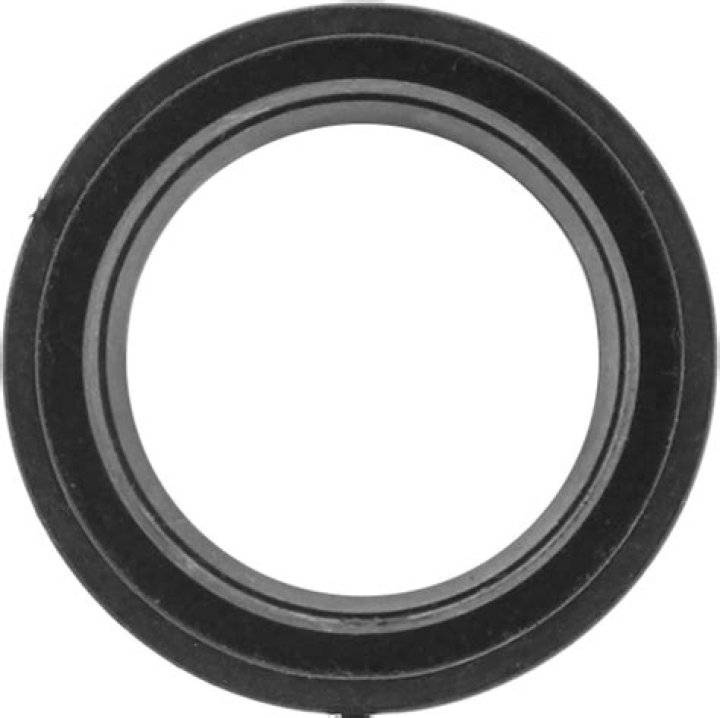 ماذا يقصد بالنسيج الوعائي في النباتات البذرية ؟