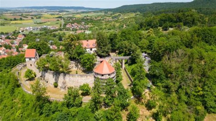 عبارات عن الغذاء الصحي