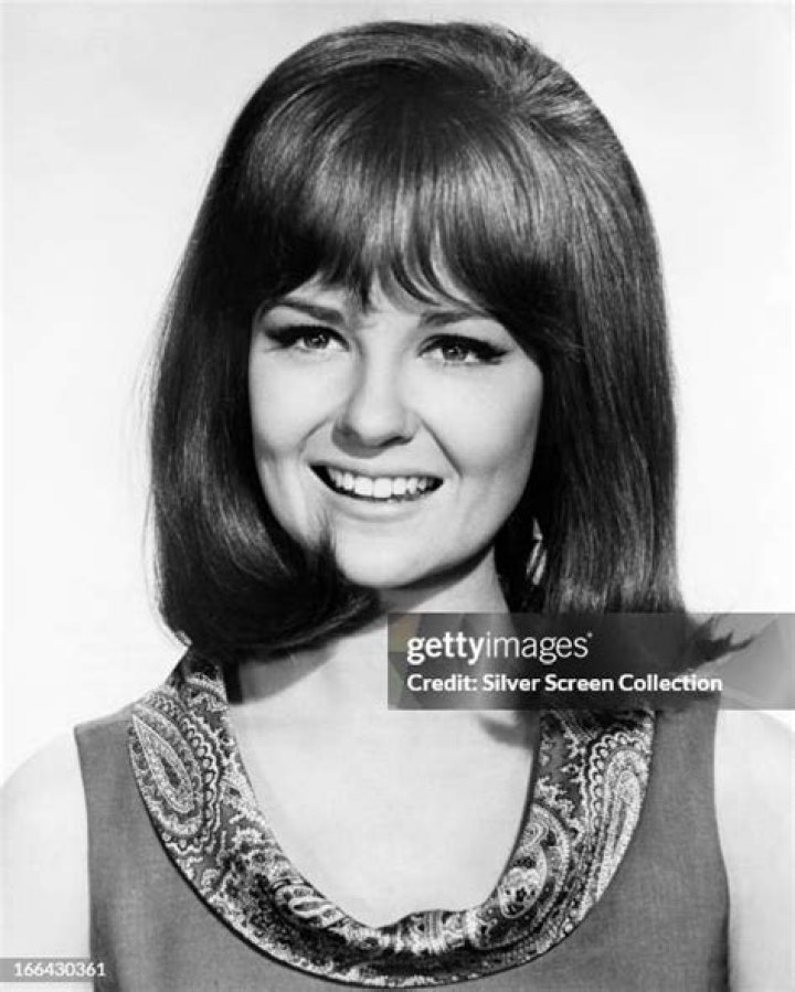Exploring The Life And Career Of Actress Shelley Fabares