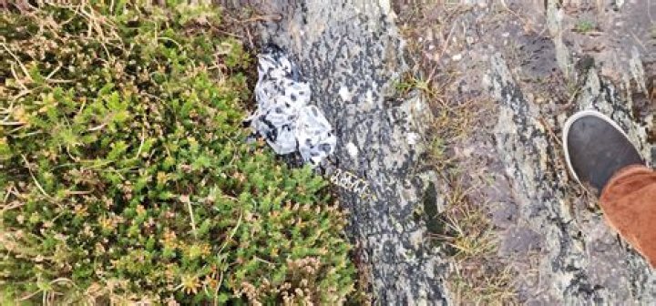 Boise Adventure Starts with Weather! | News, Weather, Sports, Breaking News