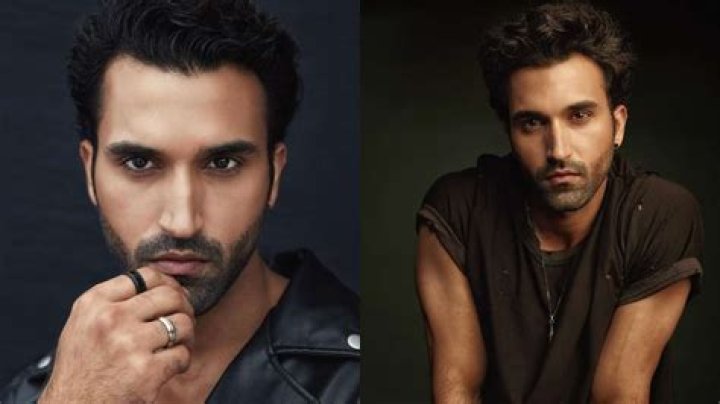 After Tripti Dimri, Karan Johar introduces second young talent Gurfateh Singh Pirzada to DCA squad – India TV