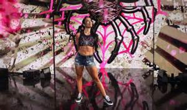 AJ Lee Celebrates New Book Release