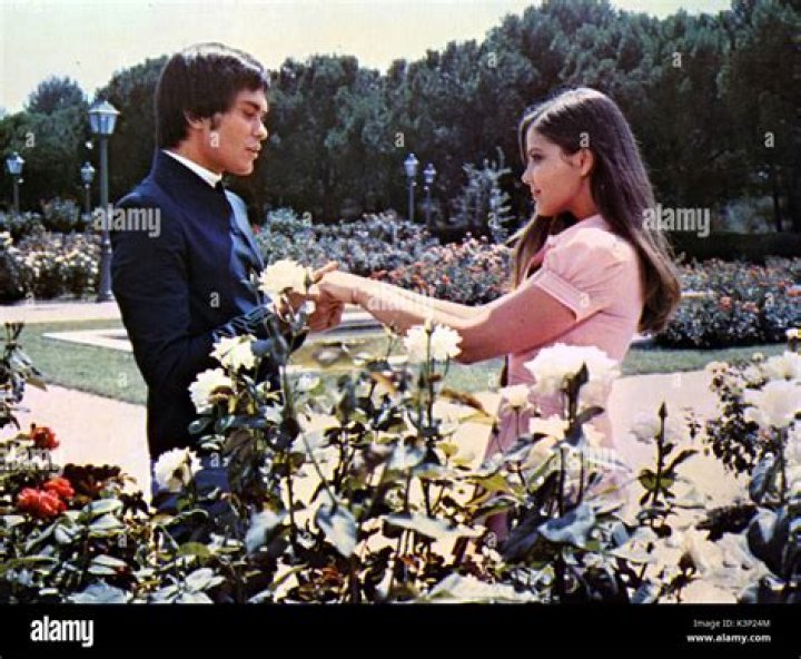 Discovering Alessio Orano Now: The Journey Of A Rising Star