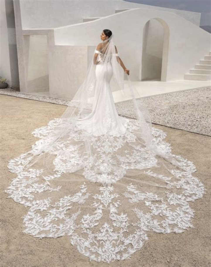 Allison Williams Shares the Coolest Photo of Her Wedding Dress, Veil