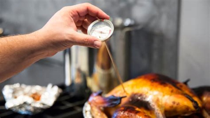 What is Alton Brown's turkey thermometer placement?