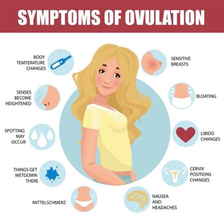 How Do You Know When You're Ovulating?