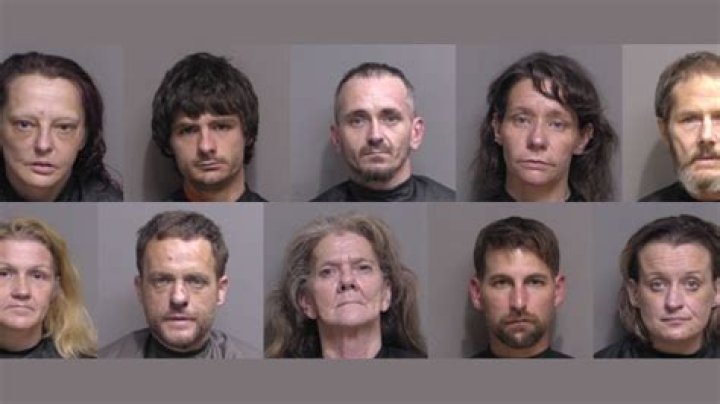 Amanda Peterson's Downfall Includes History of Arrests: Mugshots