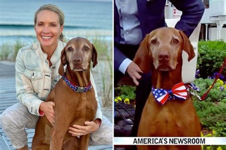 'America's Dog' Jasper dies from fast-spreading cancer aged 9, Fox News' Dana Perino reveals in touching post