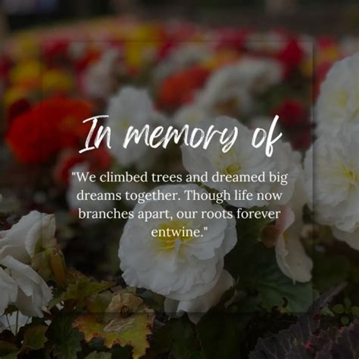 Anna Cardwell's Loved Ones Honor Her at Funeral Days After Death