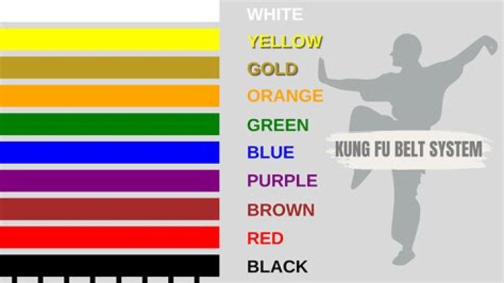 Quick Answer: Are There Test Fees For Belts In Martial Arts