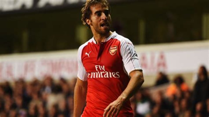 What happened to former Arsenal midfielder Mathieu Flamini and is he a billionaire?
