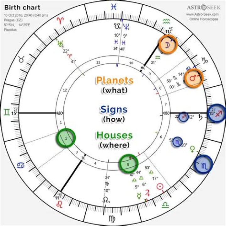 Aubrey Plaza birth chart explained