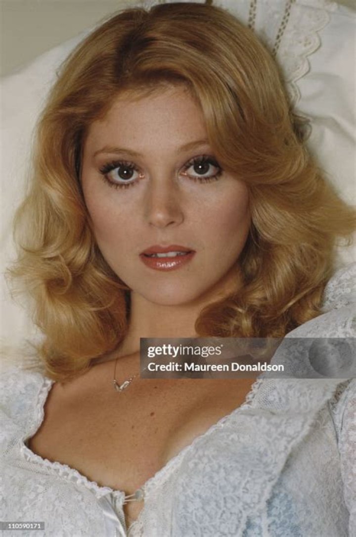 Exploring The Vibrant Youth Of Audrey Landers