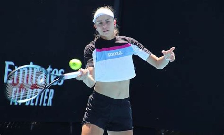 Unseeded Magda Linette continues dream run by beating Pliskova to book SF berth – India TV