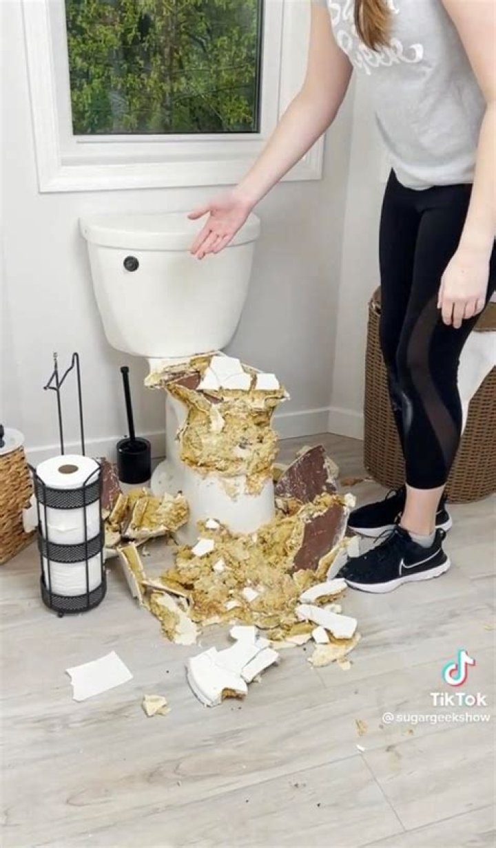 Baker Gives Warning to Other Creators Over Toilet Cake: 'Have a Contract'