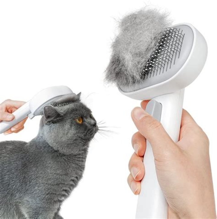 The Ultimate Guide To Choosing The Best Cat Brush For Matted Hair