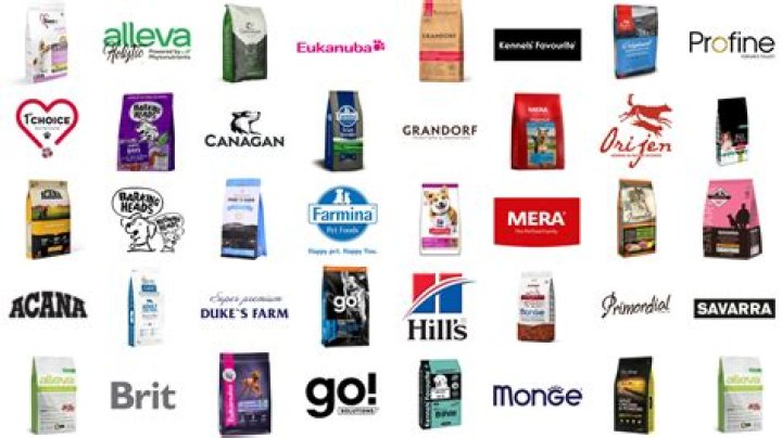 Best Dog Food Brands: A Comprehensive Guide To Choosing The Right Nutrition For Your Furry Friend