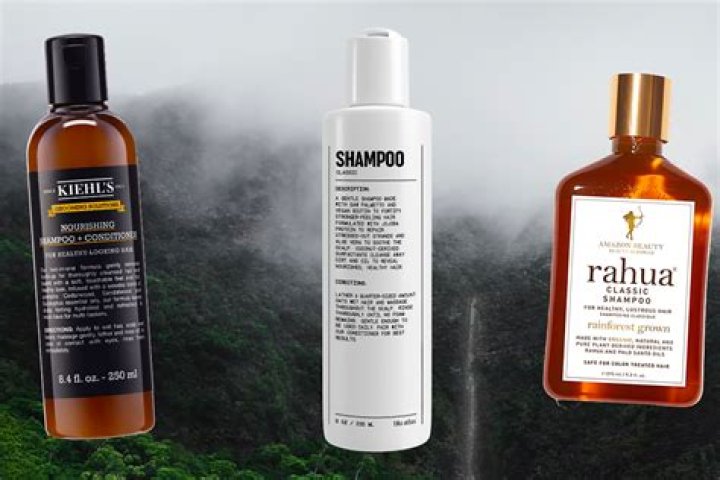 The 20 Best Natural Shampoos for Men in 2024