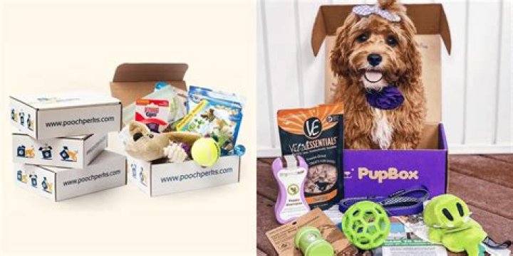 The Ultimate Puppy Subscription Box: Unbox Joy For Your Furry Friend