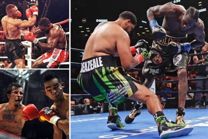 The biggest knockout fighters in boxing history, including Deontay Wilder to big punching legend Earnie Shavers – The US Sun