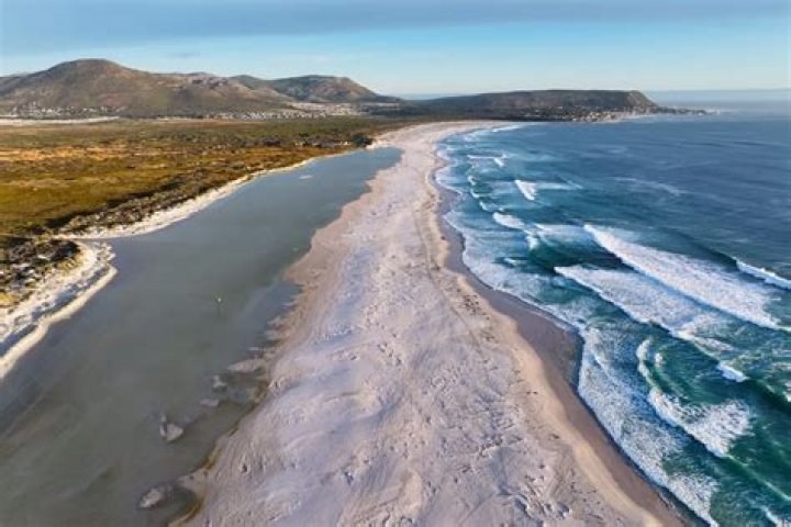 Bizarre dragon-like sea creature dubbed 'the most beautiful killer in the ocean' washes up on South African beach