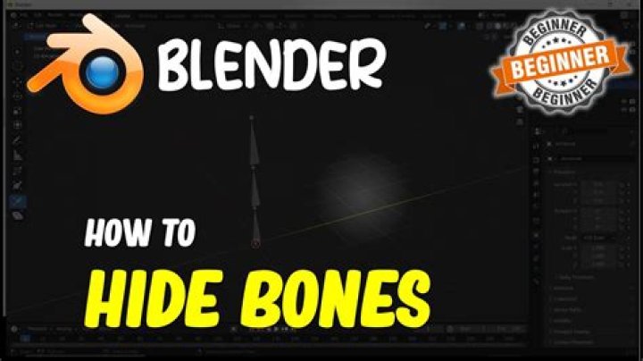Blender How To Hide Bones