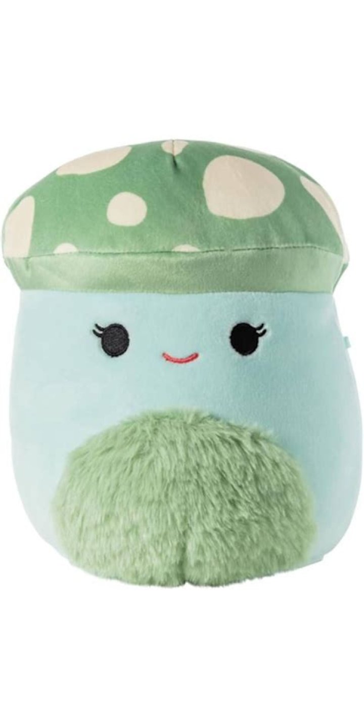 Discovering The Adorable World Of Bo Squishmallow