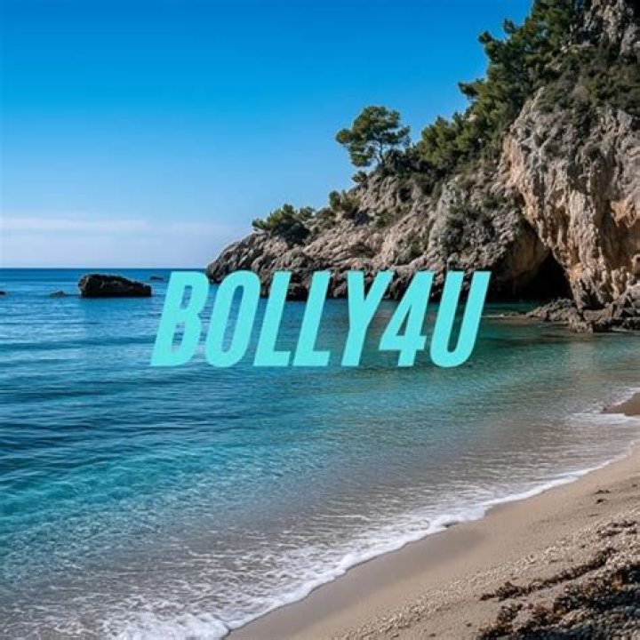 Bolly4u Net: The Gateway To Bollywood Entertainment