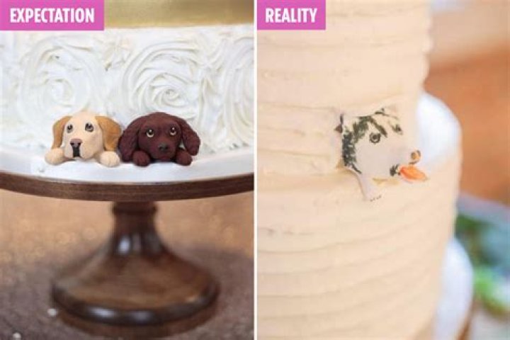 Bride horrified after ordering a dog-themed wedding cake – only to receive a ‘dead porcupine’ instead – The US Sun