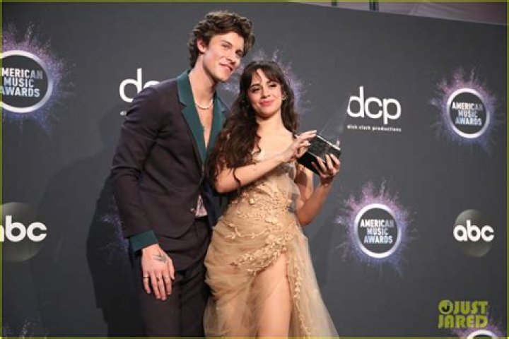 Camila Cabello's References to Shawn Mendes Split on 'Familia'