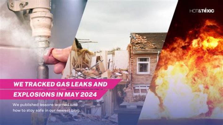 Can a gas leak make a dog sick?