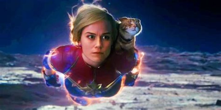 Quick Answer: Can Captain Marvel Absorb Magical Energy