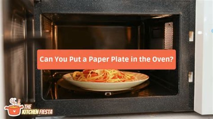 Can I Put A Paper Plate In The Oven