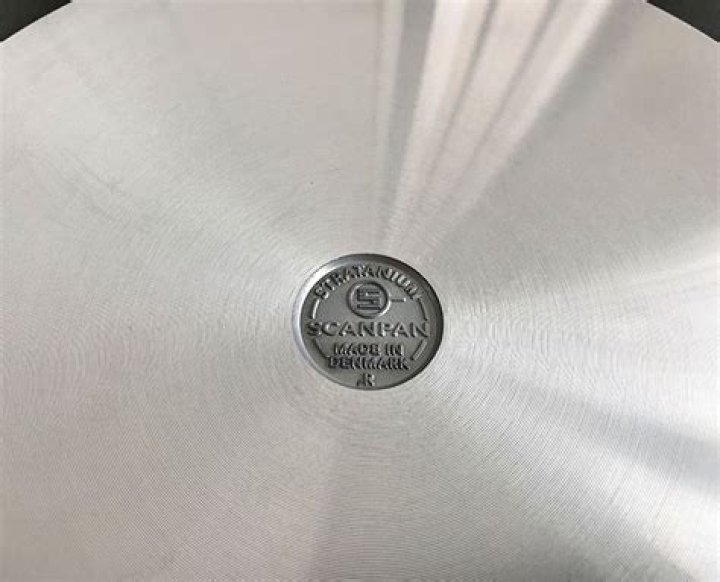 Can Scanpan fry pan go in oven?