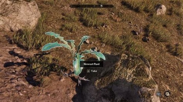 Question: Can You Use Crinson Nirnroot In Crafting