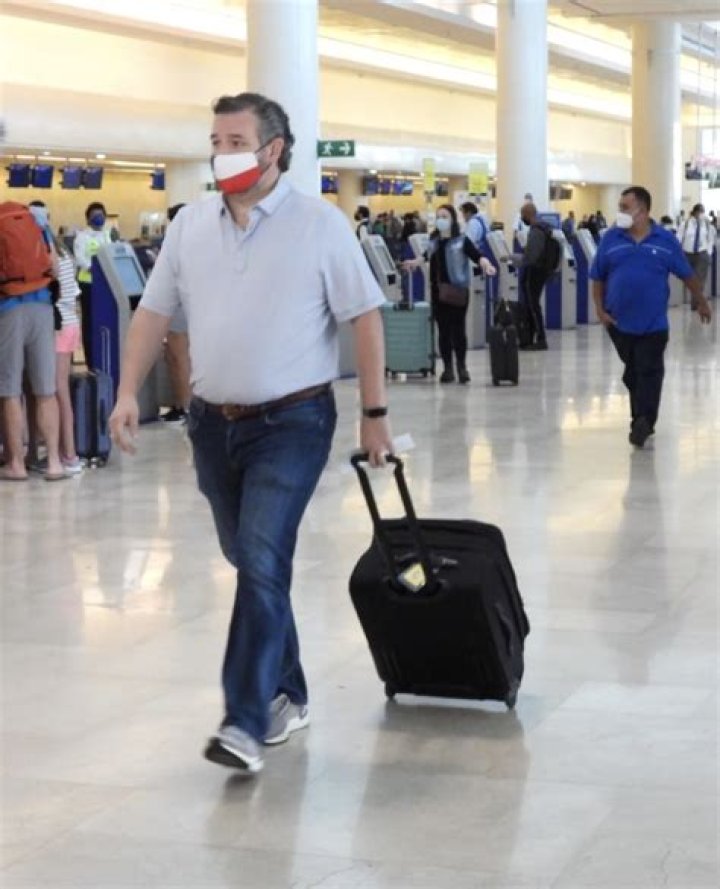 Candace Owens defends Ted Cruz who fled to Cancun during Texas storm & says he can't go 'door to door' due to Covid