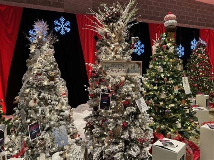 Canyon County Festival of Trees returns Nov. 24, will support Meals on Wheels programs