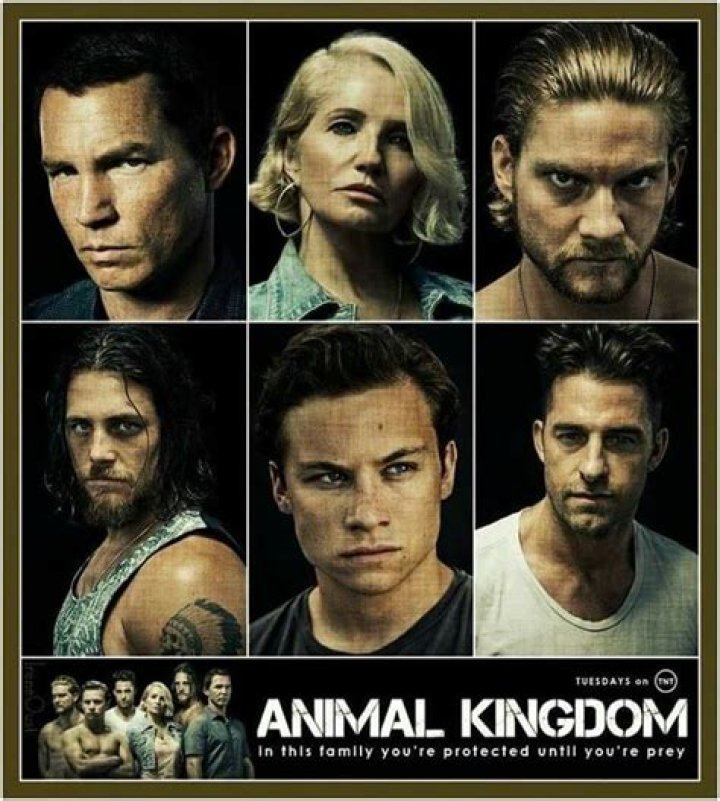 Exploring The Cast Of Animal Kingdom Series: A Comprehensive Guide