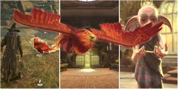 How to catch a Phoenix in Hogwarts Legacy
