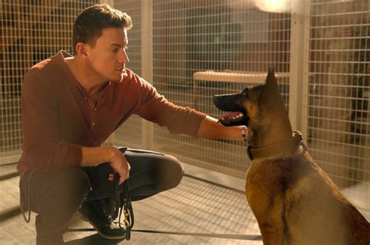 Is Channing Tatum's movie Dog based on a true story?