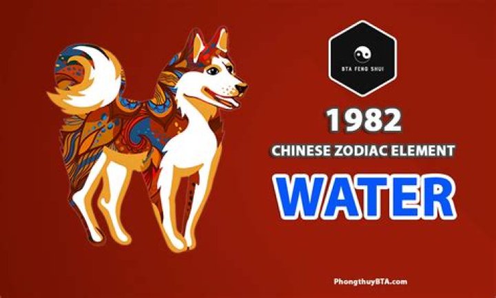 Chinese Zodiac animals: What is a Water Dog and what year is it?
