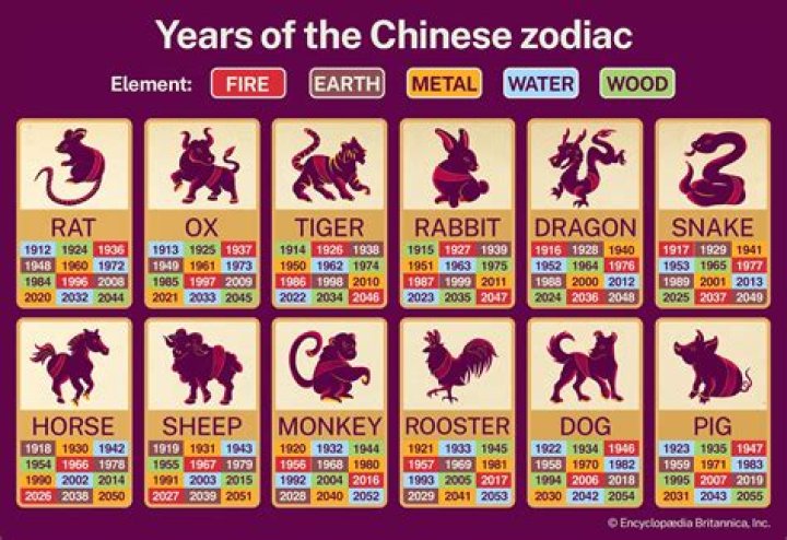 Chinese Zodiac animals: What is a Metal Rat and what year is it?