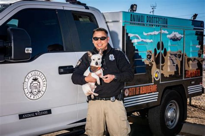 Unveiling The Charismatic Journey Of Chris Rael