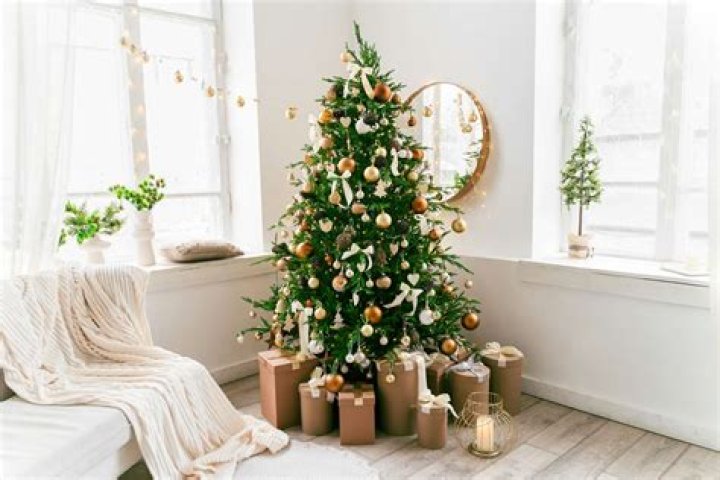 Deck Your Apartment With A Festive Christmas Tree: A Guide To Decorating