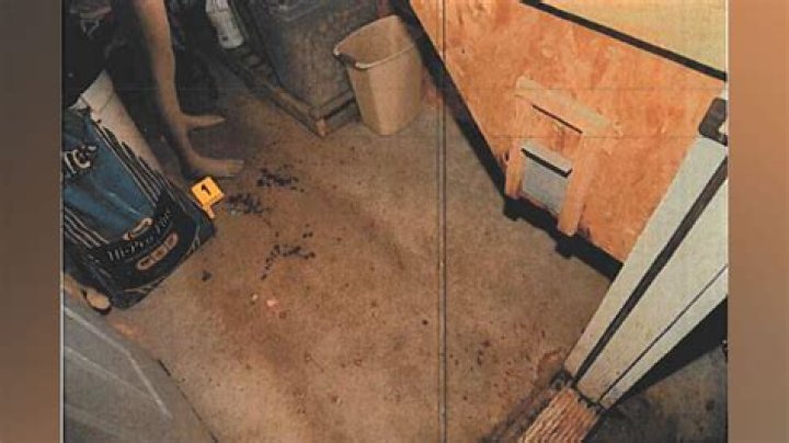 Unraveling The Mystery: The Case Of Claudine Blanchard And The Crime Scene Pics